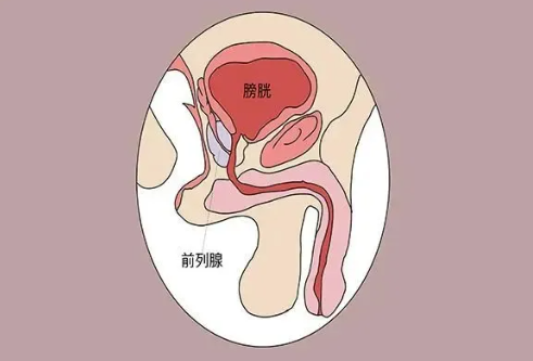 注意！縱欲和禁欲，最受傷的還是男人的這個器官！(圖1)